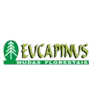 Ícone da EUCAPINUS MUDAS FLORESTAIS LTDA