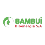 Ícone da BAMBUI BIOENERGIA SA