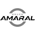 AMARAL SERVICOS E INSTALACOES