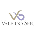 Ícone da VALE DO SER  TERAPIAS ENSINO LIVROS E CULTURA LTDA