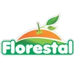 Ícone da FLORESTAL IMPORTACAO E EXPORTACAO LTDA