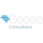 Ícone da GOOSE CONSULTORIA LTDA