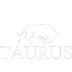 TAURUS INVESTIMENTOS