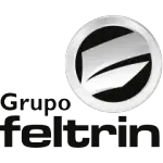 Ícone da FELTRIN INCORPORADORA LTDA