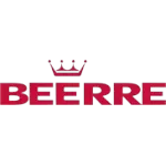 Ícone da BEERRE ASSESSORIA EMPRESARIAL LTDA