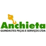 Ícone da ANCHIETA GUINDASTES PECAS E SERVICOS LTDA