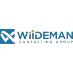 Ícone da WIIDEMAN BRASIL CONSULTORIA DE MARKETING DIGITAL LTDA