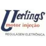 RICARDO UERLINGS MOTOR INJECAO LTDA