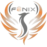 FENIX SOLUTIONS TELECOM