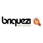 BRIQUEZI WEB SOLUTION