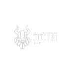 Ícone da ODIN COMERCIO E IMPORTACAO LTDA