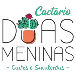 CACTARIO DUAS MENINAS