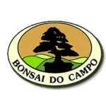 BONSAI DO CAMPO