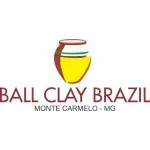 Ícone da BALL CLAY BRAZIL LTDA