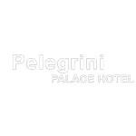 Ícone da PELEGRINI PALACE HOTEL LTDA
