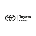 Ícone da RAMIRES MOTORS LTDA