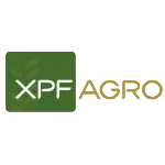 Ícone da XPF CORRETORA E COMERCIO DE GRAOS LTDA