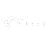 VIGSEG