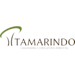 Ícone da TAMARINDO ENGENHARIA E CONSULTORIA LTDA