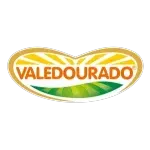 Ícone da VALE DOURADO PARTICIPACOES LTDA