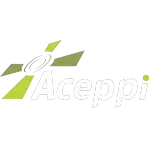 ACEPPI  ACESSORIOS PARA PISOS INDUSTRIAIS LTDA