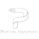 PONTUAL TRANSPORTE DE VEICULOS E MUDANCAS