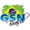 GSN GLOBAL SECURITY NETWORK COMERCIO DE EQUIPAMENTOS ELETRONICOS LTDA