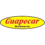 Ícone da GUAPOCAR MULTIMARCAS E COMERCIO VEICULOS LTDA