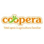 Ícone da COOPERATIVA AGROPECUARIA MISTA DA REGIAO DE ALAGOINHAS LTDA