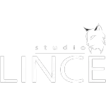 Ícone da STUDIO   LINCE  FOTO  LTDA