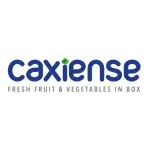 CAXIENSE  FRUTTI'N BOX COMERCIO E IMPORTACAO LTDA