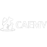 CAEMV