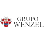 Ícone da WENZEL SERVICOS FINANCEIROS LTDA