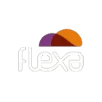 Ícone da FLEXA SOLUCOES E SISTEMAS LTDA