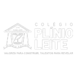 COLEGIO PLINIO LEITE LTDA