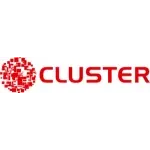 CLUSTER INFORMATICA