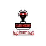 CARIMBOS TUPINAMBAS LTDA