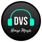 Ícone da D V S HOUSE MUSIC LTDA