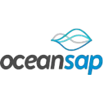 Ícone da OCEAN ERP SMART SOLUTIONS LTDA