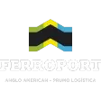 Ícone da FERROPORT SERVICOS LTDA