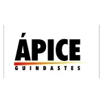 APICE GUINDASTES