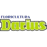 FLORICULTURA DARIUS