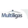 Ícone da MULTILIGAS LTDA