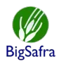 BIG SAFRA SA