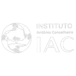 Ícone da INSTITUTO ANTONIO CONSELHEIRO DE APOIO ASSESSORIA E PESQUISA PARA O DESENVOLVIMENTO HUMANO