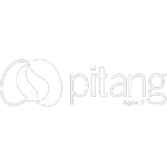 PITANG CLOUD SERVICES LTDA