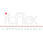 Ícone da ITFLEX TECNOLOGIA LTDA