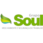 Ícone da SOUL  CONSULTORIA LTDA