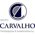 Ícone da CARVALHO HOLDING E PARTICIPACOES LTDA