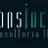 CONSIDEAL CONSULTORIA LTDA